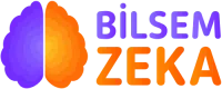 cropped-image-1.png