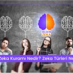 Blog 23 Çoklu Zeka Kuramı Nedir