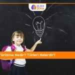 Blog 25 Akıl Yürütme Nedir? Türleri Nelerdir?