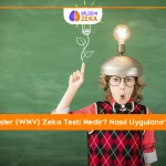 Wechsler (WNV) Zeka Testi nedir ?