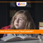 Okul Fobisi Nedir?