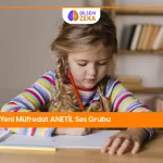 Blog 22 Anetil Ses Grubu