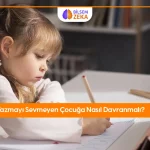 Blog 14 Yazı yazmayı sevmeyen çocuğa nasıl davranmalı