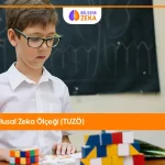 Blog 26 Türk Ulusal Zeka Ölçeği